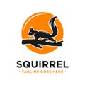 Squirrel and circle logo design template Royalty Free Stock Photo