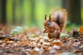 a squirrel collecting nuts in the forest