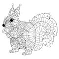 Squirrel Coloring vector for adults