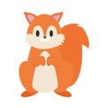 squirrel cute illustration