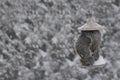 Squirrel eating in a birdfeeder