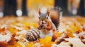 Squirrel eating nut in autumn park Royalty Free Stock Photo