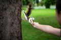 Squirrel eating nut out of little child girl hand,squirrel hungry on tree trunk in nature,asian girl feeding wild animals in Royalty Free Stock Photo