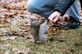 squirrel eats from a man's hand