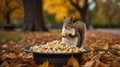 Adorable Squirrel Enjoying Popcorn in Autumn Park Royalty Free Stock Photo