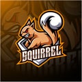 Squirrel esport mascot logo design