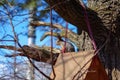 A squirrel on a feeder against blue sky