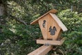 Squirrel feeder in the German forest Schwarzwald