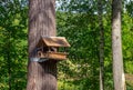 Squirrel feeder made of plywood and metal