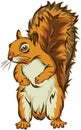 Squirrel, squirrel figure, realistic image, vector, positions