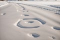 A squirrel footprint on a snowy ground