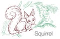 Squirrel hand drawn vector illustration