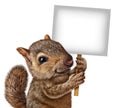 Squirrel Holding A Sign Royalty Free Stock Photo