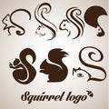 Squirrel logo set