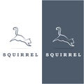 squirrel logo and vector Royalty Free Stock Photo