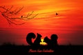 squirrel in love at sunset Royalty Free Stock Photo