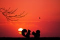 Squirrel in love at sunset Royalty Free Stock Photo