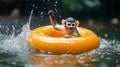 Squirrel monkey in orange float, playful splash . Royalty Free Stock Photo