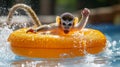 Squirrel monkey in orange float, playful splash . Royalty Free Stock Photo