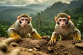 Squirrel Monkeys in their natural Amazon Rainforest Environment, created with Generative AI technology Royalty Free Stock Photo