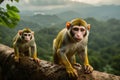 Squirrel Monkeys in their natural Amazon Rainforest Environment, created with Generative AI technology Royalty Free Stock Photo