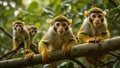 Squirrel Monkeys in their natural Amazon Rainforest Environment, created with Generative AI technology Royalty Free Stock Photo