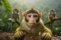 Squirrel Monkeys in their natural Amazon Rainforest Environment, created with Generative AI technology Royalty Free Stock Photo