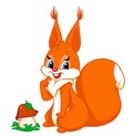 Squirrel mushroom cartoon illustration Royalty Free Stock Photo