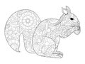 Squirrel with nut coloring vector for adults Royalty Free Stock Photo