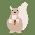 Squirrel with nut vector illustration flat style front