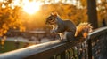 Squirrel perched on park railing against a beautiful sunset sky in the evening glow Royalty Free Stock Photo
