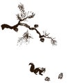 Squirrel And Pine, Cones Sketch Ink Pen Hand Drawing.