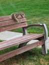 Squirrel rest bench grass red green cement Royalty Free Stock Photo