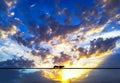 A squirrel running over an electric wire against the sunset Royalty Free Stock Photo