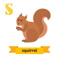 Squirrel. S letter. Cute children animal alphabet in vector. Fun
