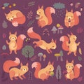 Squirrel set hand drawn style