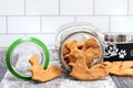 Squirrel Shaped Dog Biscuits with cookie jar and dog bowl Royalty Free Stock Photo