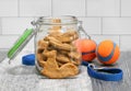 Squirrel Shaped Dog Biscuits in a jar Royalty Free Stock Photo