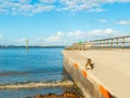 Squirrel by the shore in Vinoy Park Royalty Free Stock Photo