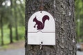 Squirrel sign in a forest on a tree Royalty Free Stock Photo