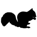 Squirrel Silhouette Royalty Free Stock Photo