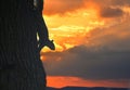 Squirrel silhouette with a fiery evening background