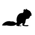 Squirrel silhouette vector illustration