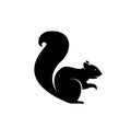 Squirrel Silhouette Vector