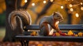 Adorable Red Squirrel on a Park Bench during Autumn Royalty Free Stock Photo