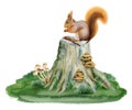 Squirrel sitting on tree stump with mushrooms on green grass watercolor forest woodland scene illustration Royalty Free Stock Photo