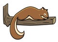 Squirrel Sleeping On a Tree Vector Illustration