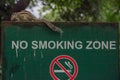 Squirrel on a smoking prohibited sign. Funambulus genus of sciuromorphic rodents of the Sciuridae family known as palm squirrels Royalty Free Stock Photo