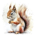 Squirrel in style of childlike simplistic watercolor