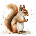 Squirrel in style of childlike simplistic watercolor